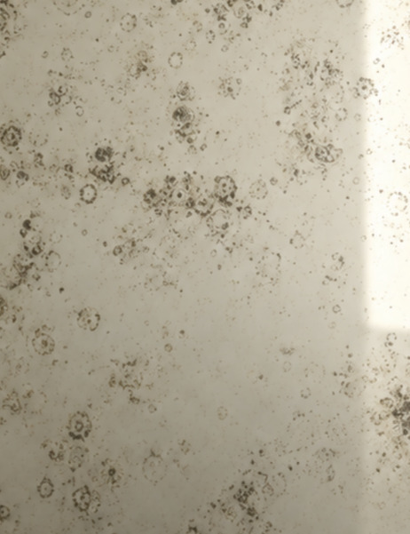 Antique Mirror 20234 — elevator interior glass panel finish
