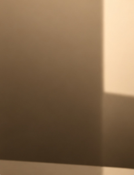 Mirror Bronze Mirror — elevator interior glass panel finish