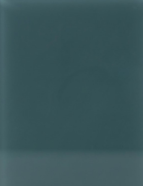 Colored Glass B63 — elevator interior glass panel finish