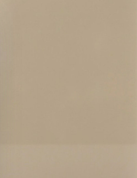 Colored Glass N25 — elevator interior glass panel finish