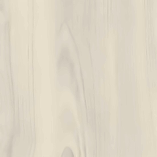 Ivory Birch
