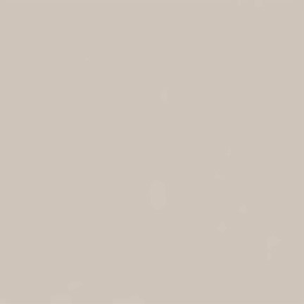 Oyster Gray